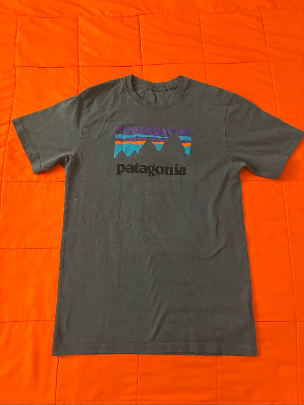 Patagonia Shirt Mens Small Blue Graphic Crewneck Responsibilitee